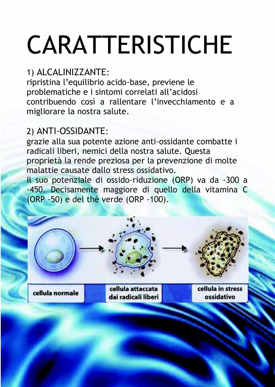 2) ANTI-OSSIDANTE: grazie alla sua potente azione anti-ossidante combatte i radicali liberi, nemici della nostra salute.