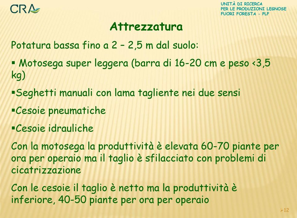 la produttività è elevata 60-70 piante per ora per operaio ma il taglio è sfilacciato con problemi di