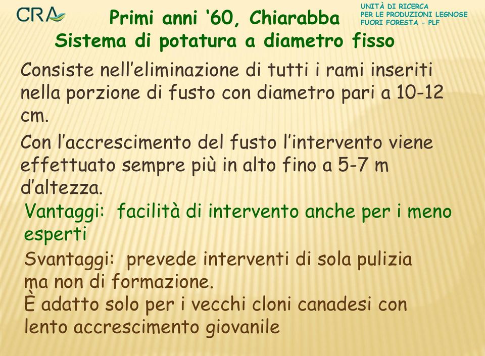 Con l accrescimento del fusto l intervento viene effettuato sempre più in alto fino a 5-7 m d altezza.