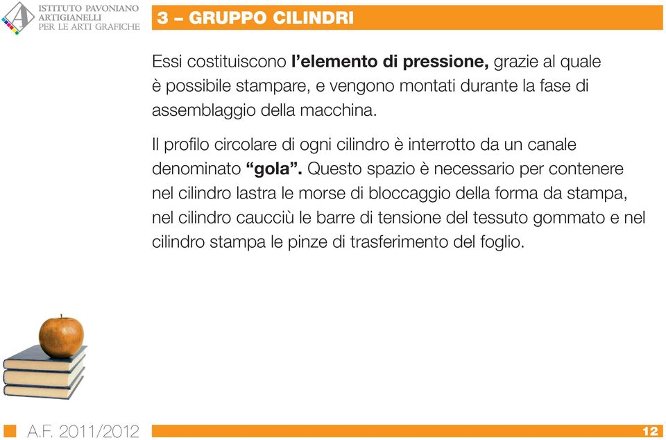 Il profilo circolare di ogni cilindro è interrotto da un canale denominato gola.