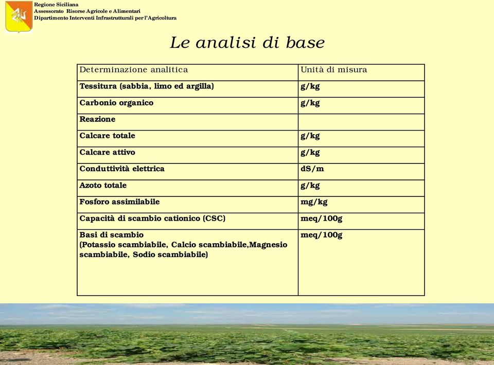 totale Calcare attivo Conduttività elettrica Azoto totale Fosforo assimilabile Capacità di scambio cationico (CSC) Basi di