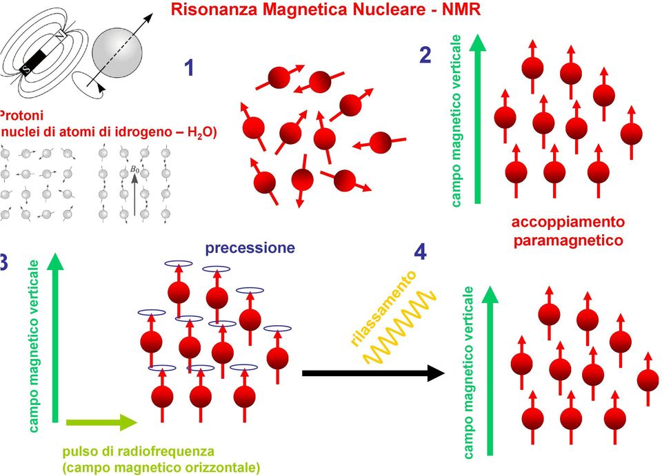 (campo magnetico orizzontale) 2 precessione 4 cam mpo magnet tico