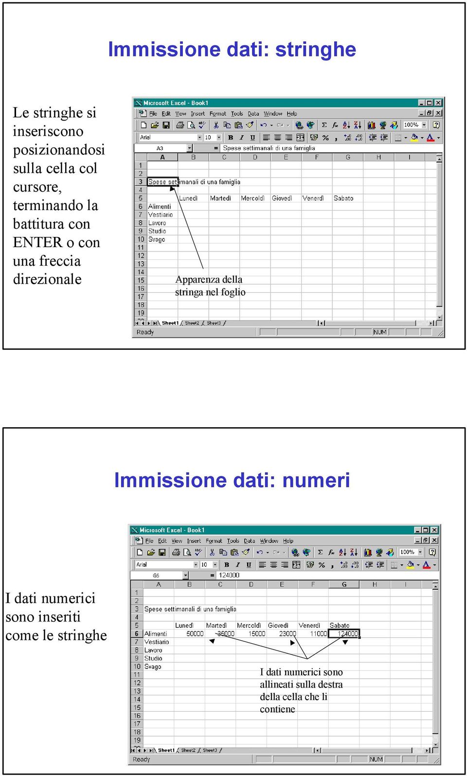 della stringa nel foglio Immissione dati: numeri I dati numerici sono inseriti come