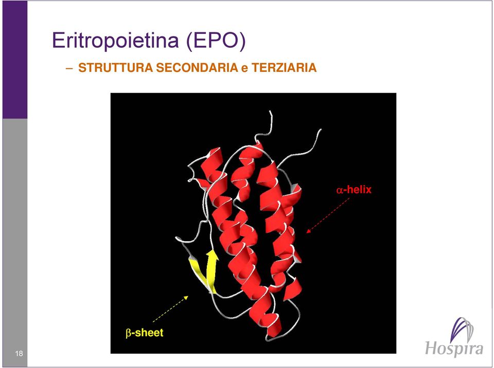 SECONDARIA e