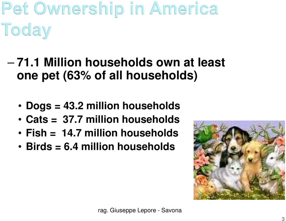 2 million households Cats = 37.