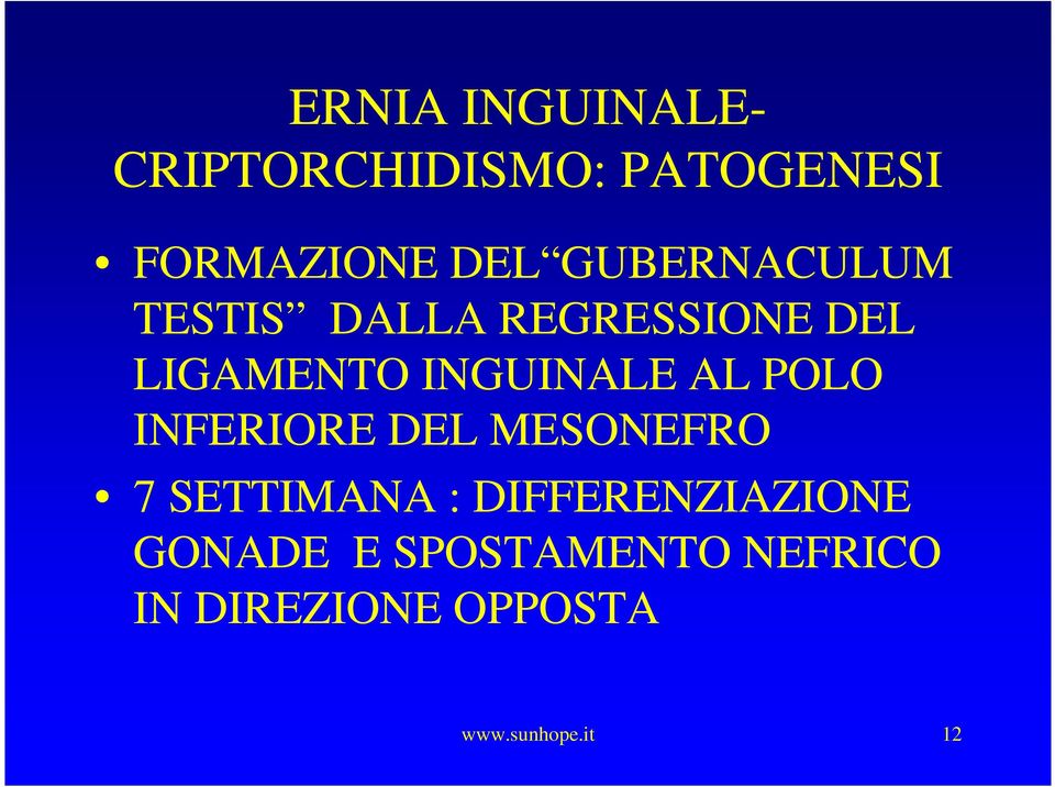 AL POLO INFERIORE DEL MESONEFRO 7 SETTIMANA : DIFFERENZIAZIONE