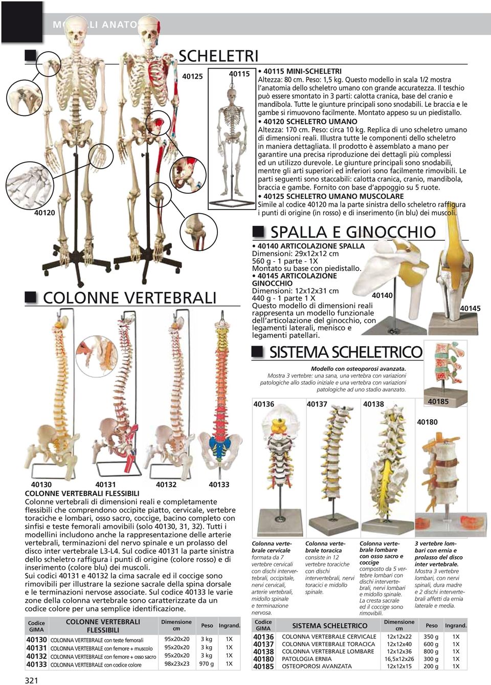 Tutte le giunture principali sono snodabili. Le braccia e le gambe si rimuovono facilmente. Montato appeso su un piedistallo. 40120 SCHELETRO UMANO Altezza: 170 cm. Peso: circa 10 kg.