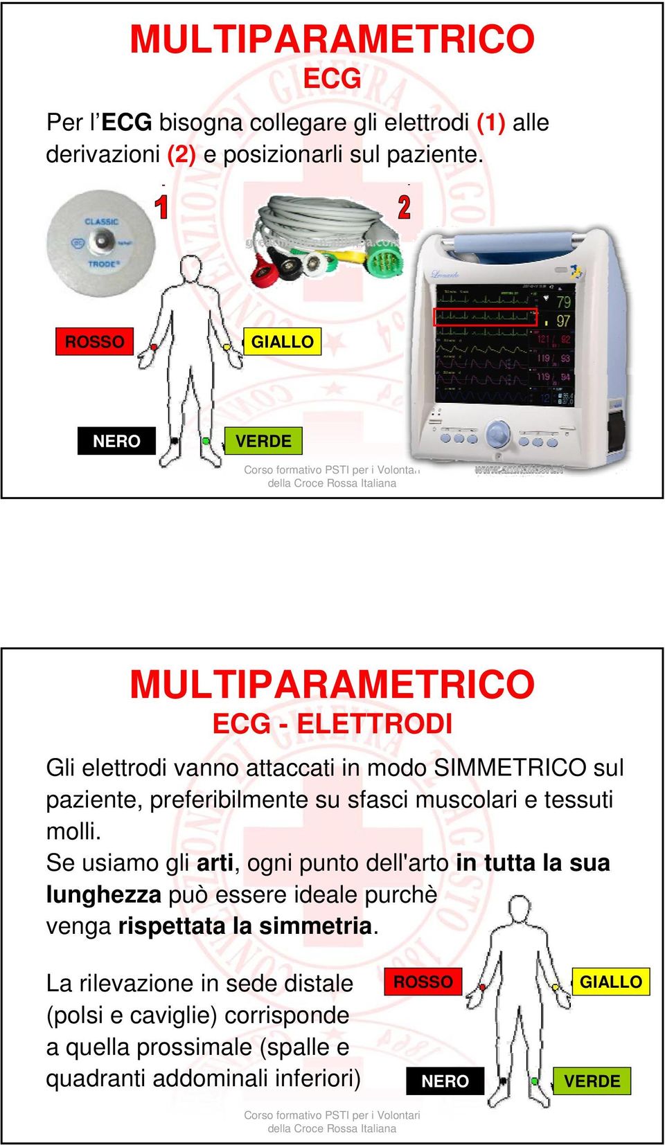 sfasci muscolari e tessuti molli.