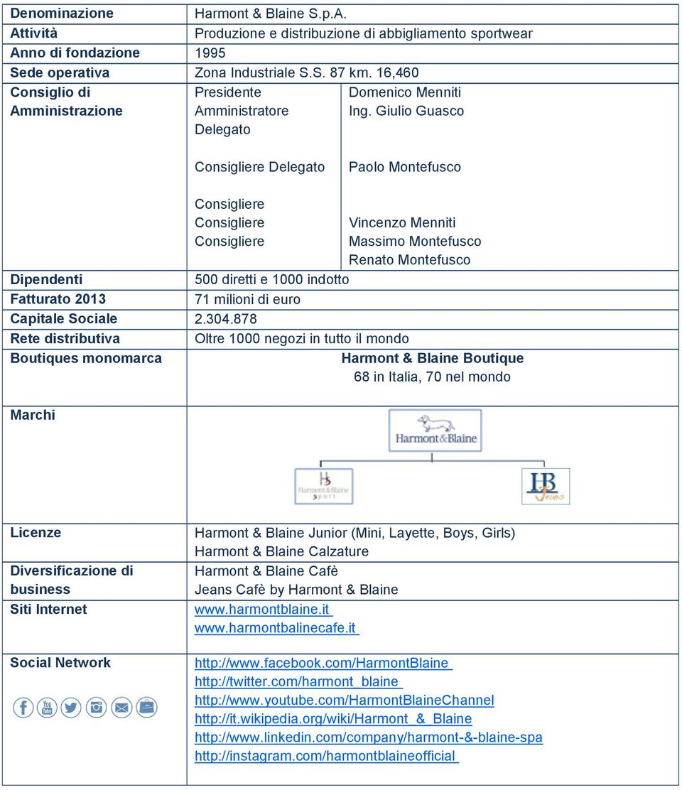 Giulio Guasco Consigliere Delegato Paolo Montefusco Consigliere Consigliere Consigliere Vincenzo Menniti Massimo Montefusco Renato Montefusco Dipendenti 500 diretti e 1000 indotto Fatturato 2013 71