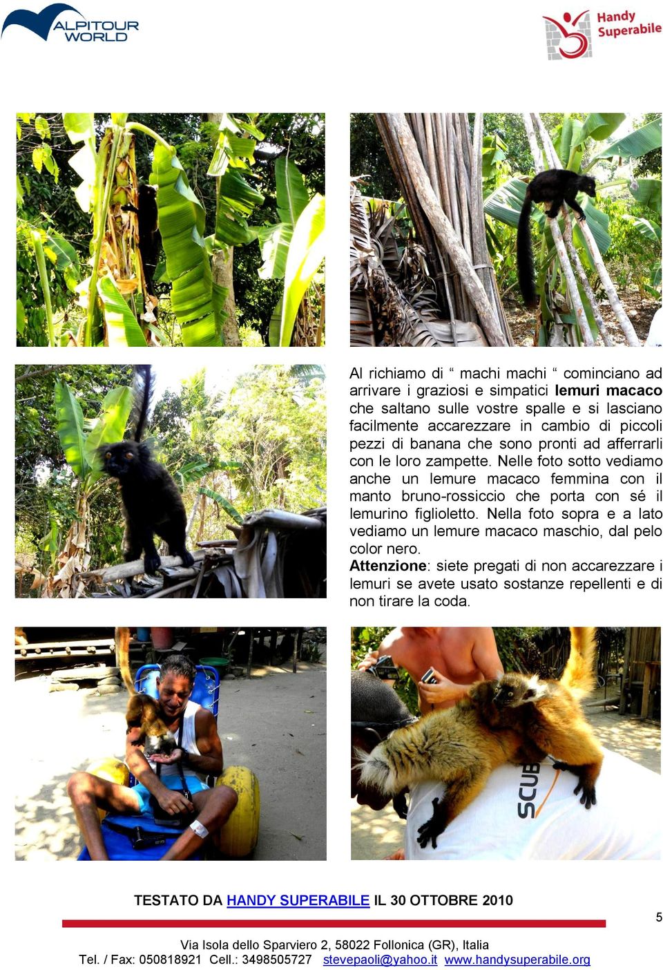 Nelle foto sotto vediamo anche un lemure macaco femmina con il manto bruno-rossiccio che porta con sé il lemurino figlioletto.