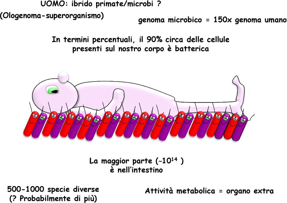 percentuali, il 90% circa delle cellule presenti sul nostro corpo è batterica