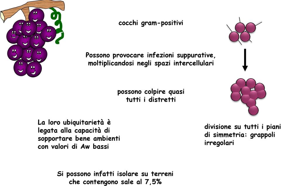 capacità di sopportare bene ambienti con valori di Aw bassi divisione su tutti i piani di