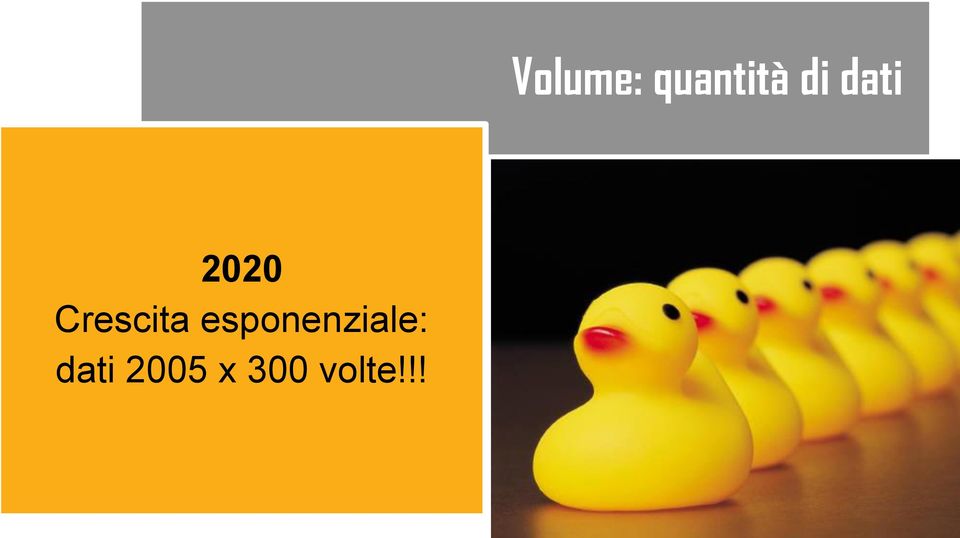 esponenziale: dati