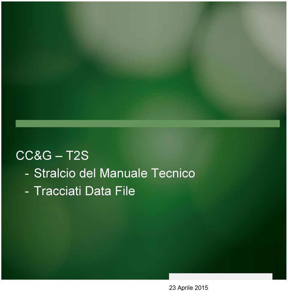 Manuale Tecnico