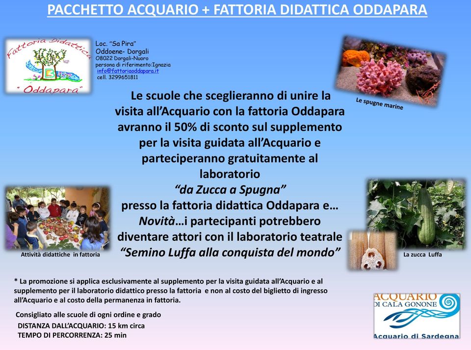 Acquario e parteciperanno gratuitamente al laboratorio da Zucca a Spugna presso la fattoria didattica Oddapara e Novità i partecipanti potrebbero diventare attori con il laboratorio teatrale Semino