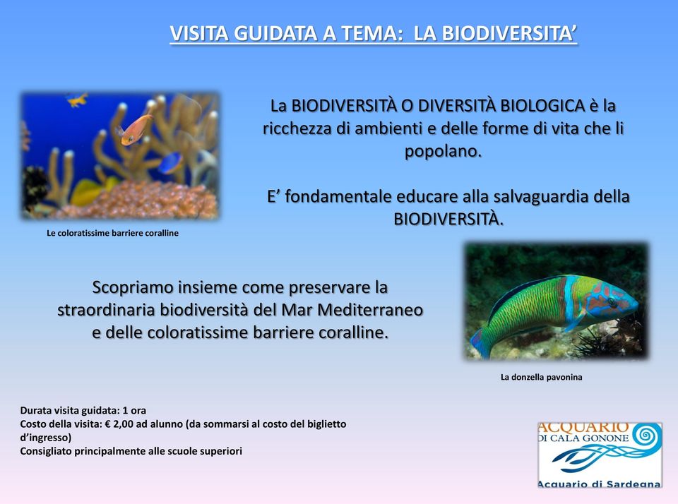 Scopriamo insieme come preservare la straordinaria biodiversità del Mar Mediterraneo e delle coloratissime barriere coralline.