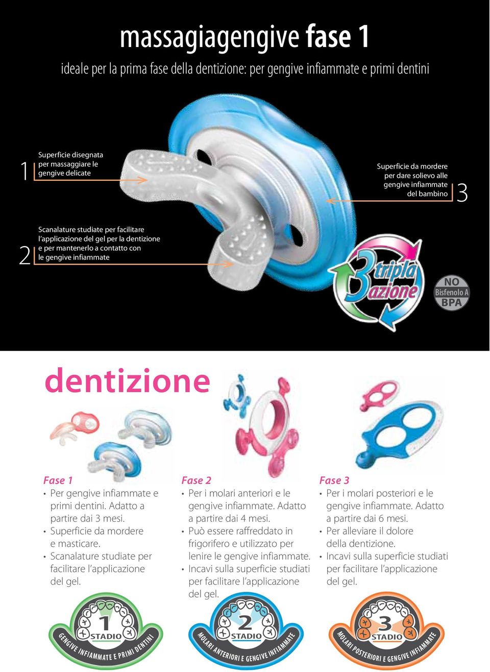 dentizione 1 G E N G I V E I N F I A M M A T E E P R I M I STADIO D E N T I N I Fase 1 1 G E N G I V E I N F I A M M A T E E P R I M I STADIO D E N T I N I 1 G E N G I V E I N F I A M M A T E E P R I