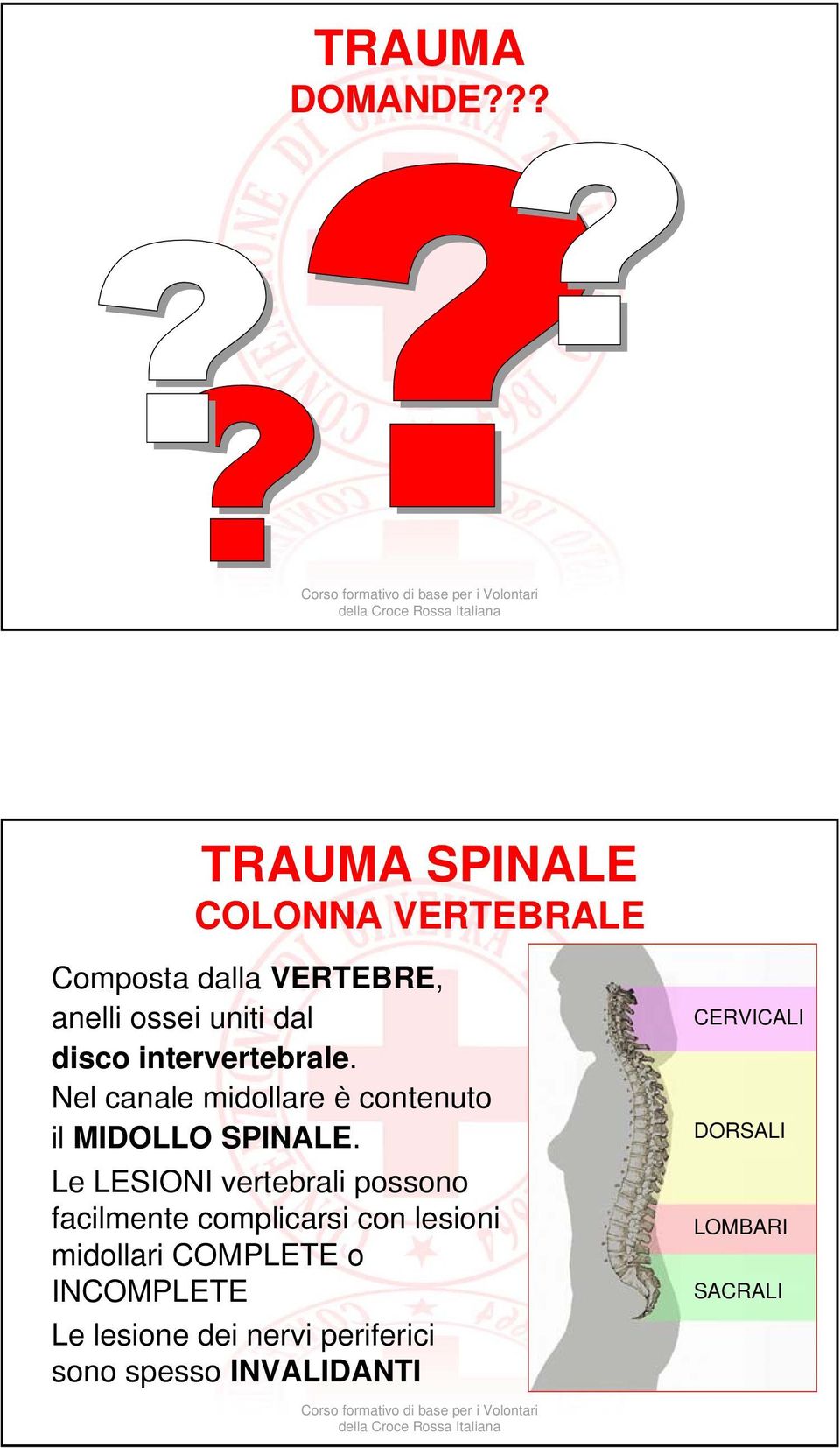 intervertebrale. Nel canale midollare è contenuto il MIDOLLO SPINALE.