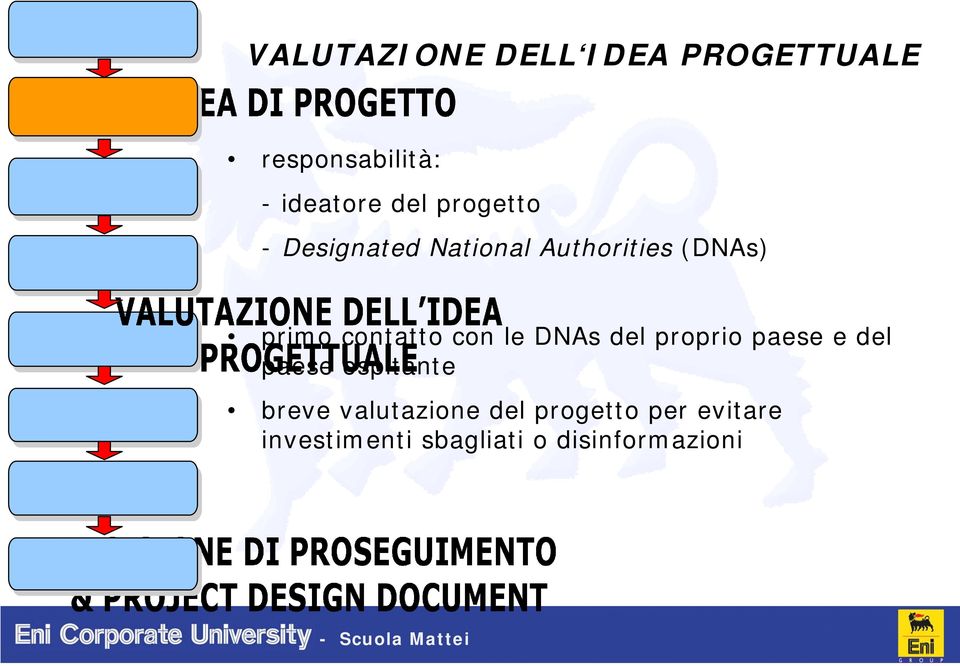 con le DNAs del proprio paese e del paese ospitante breve