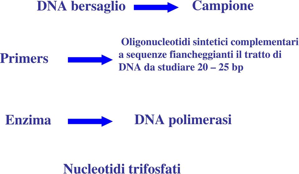 sequenze fiancheggianti il tratto di DNA da