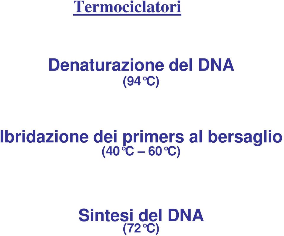 dei primers al bersaglio (40