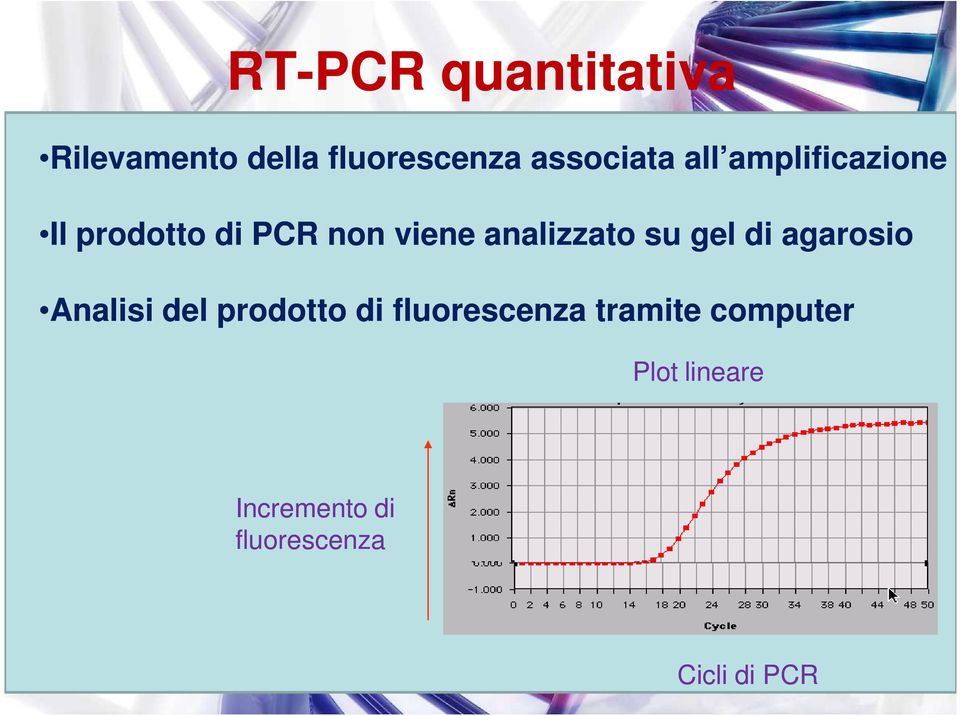 gel di agarosio Analisi del prodotto di fluorescenza tramite