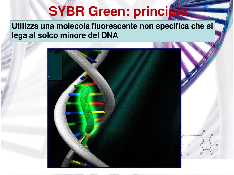 fluorescente non specifica