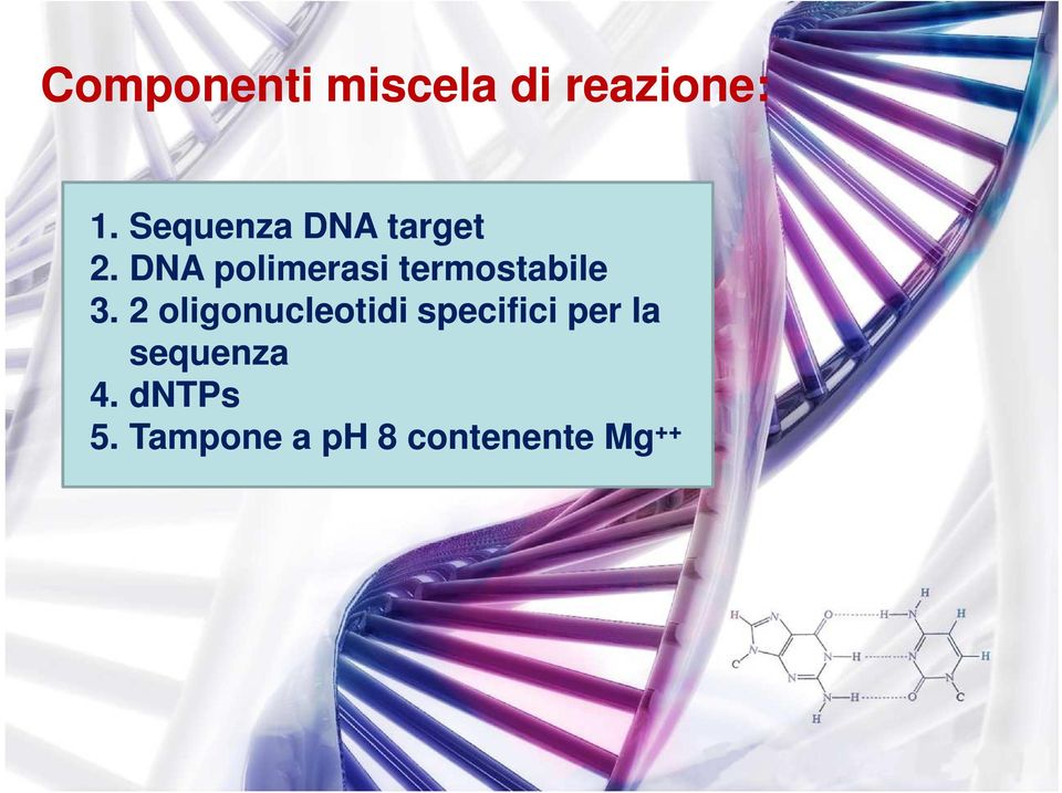 DNA polimerasi termostabile 3.