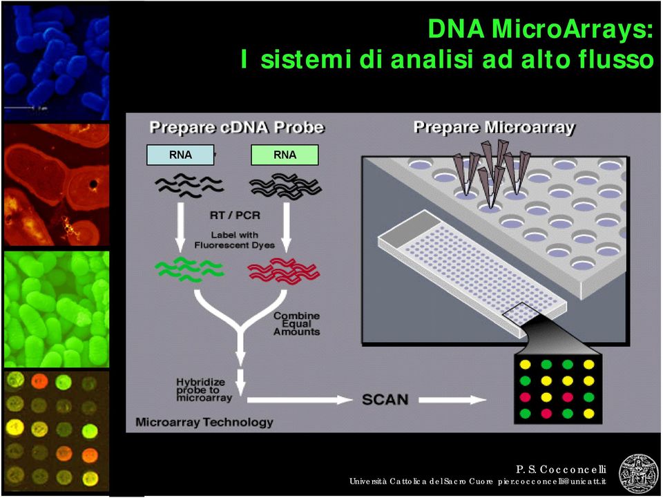 sistemi di