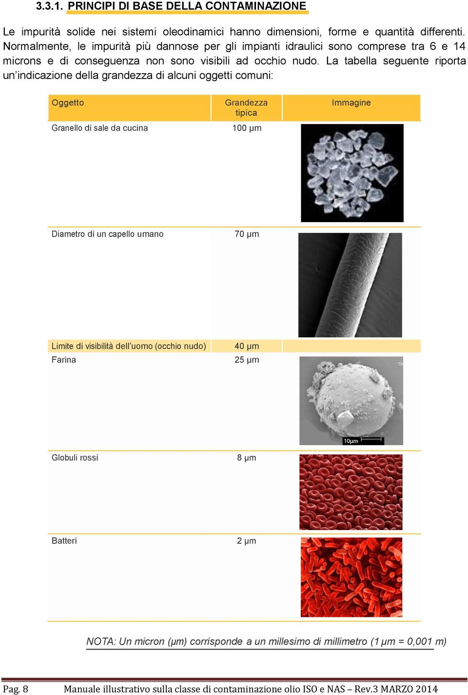 La tabella seguente riporta un indicazione della grandezza di alcuni oggetti comuni: Oggetto Grandezza tipica Granello di sale da cucina 100 µm Immagine Diametro di un capello umano 70