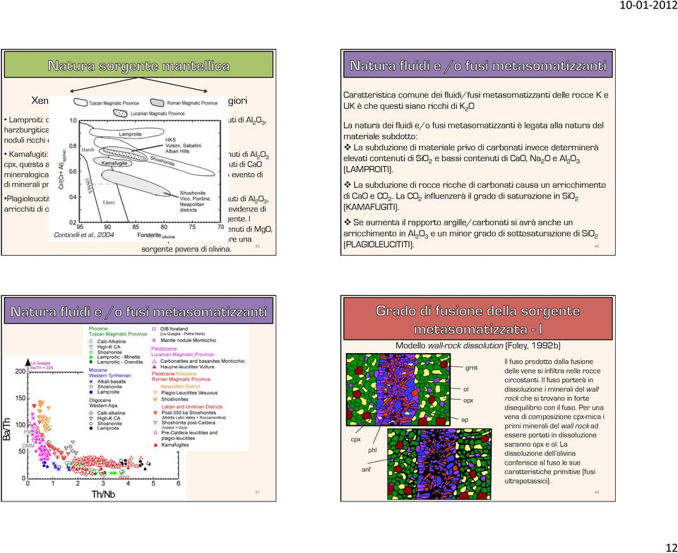 Conticelli et al., 2004 Elementi maggiori Lamproiti: bassi contenuti di Al 2 O 3, CaO e Na 2 O. Kamafugiti: bassi contenuti di Al 2 O 3 e Na 2 O.