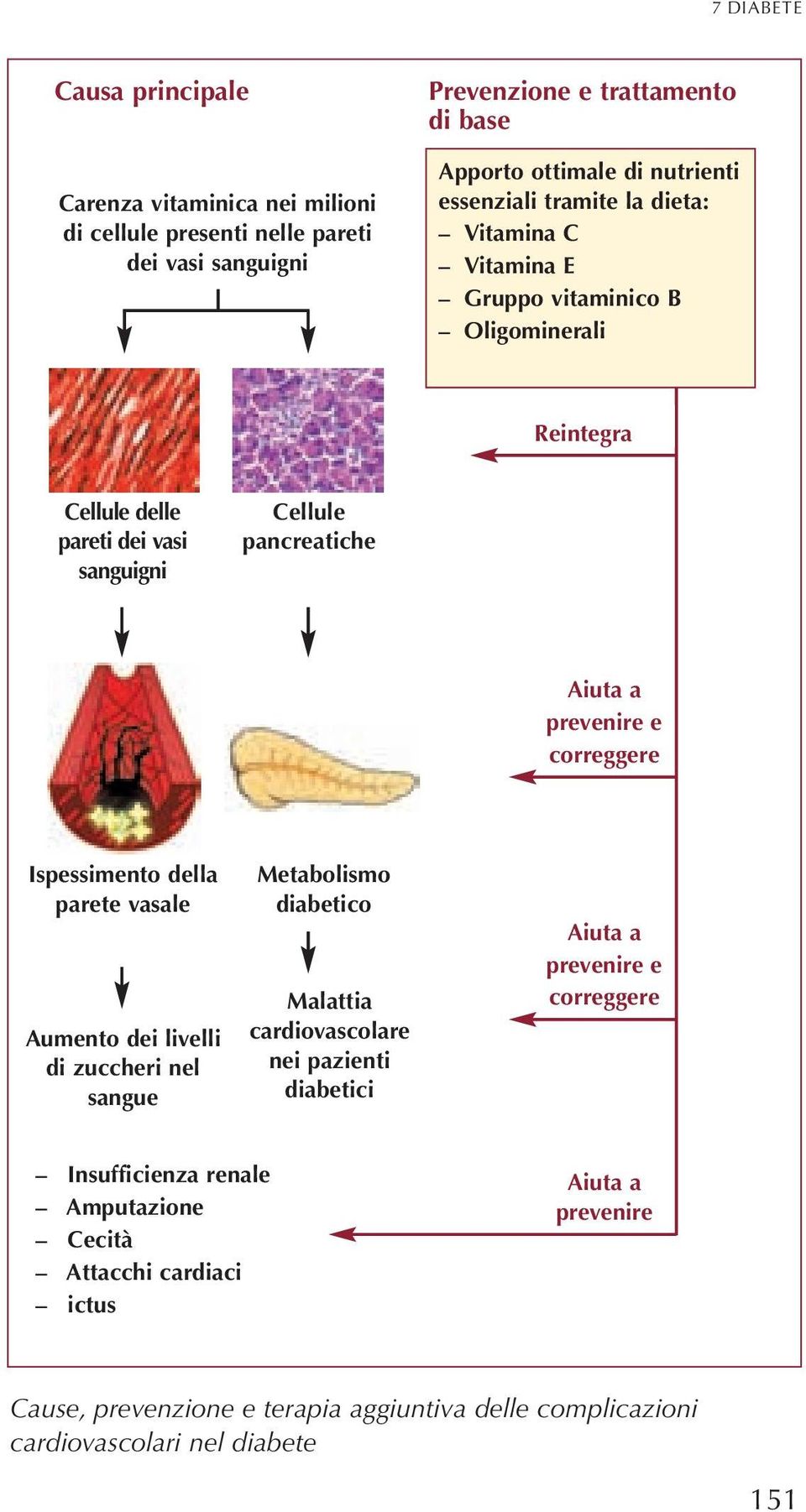 correggere Ispessimento della parete vasale Aumento dei livelli di zuccheri nel sangue Metabolismo diabetico Malattia cardiovascolare nei pazienti diabetici Aiuta a prevenire e