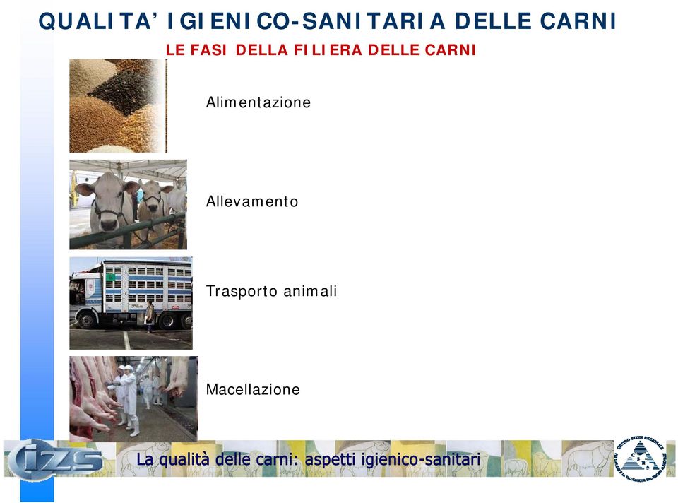 DELLE CARNI Alimentazione