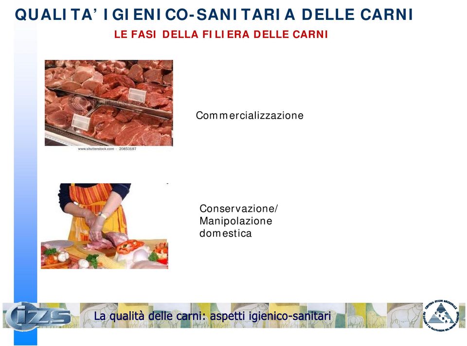 DELLE CARNI Commercializzazione