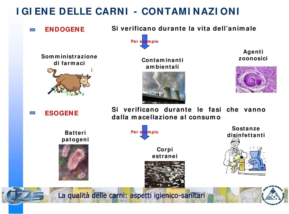 Agenti zoonosici ESOGENE Si verificano durante le fasi che vanno dalla