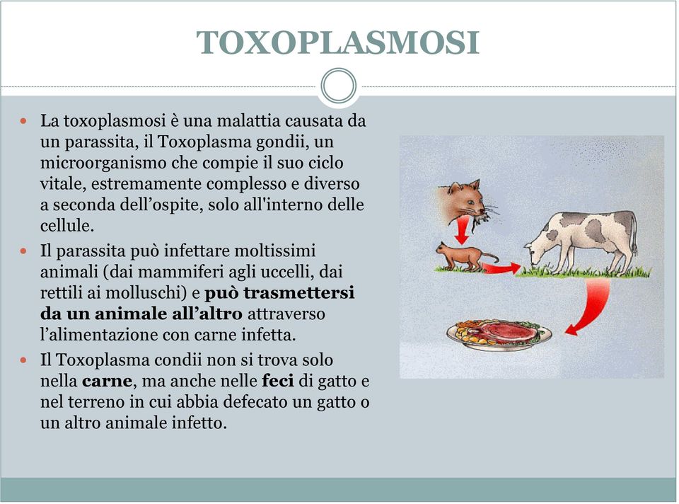 Il parassita può infettare moltissimi animali (dai mammiferi agli uccelli, dai rettili ai molluschi) e può trasmettersi da un animale all