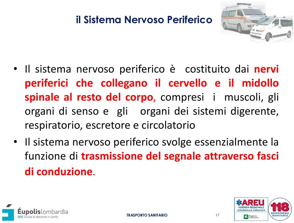 senso e gli organi dei sistemi digerente, respiratorio, escretore e circolatorio Il sistema nervoso