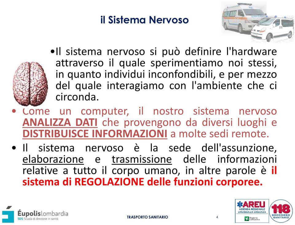 Come un computer, il nostro sistema nervoso ANALIZZA DATI che provengono da diversi luoghi e DISTRIBUISCE INFORMAZIONI a molte sedi