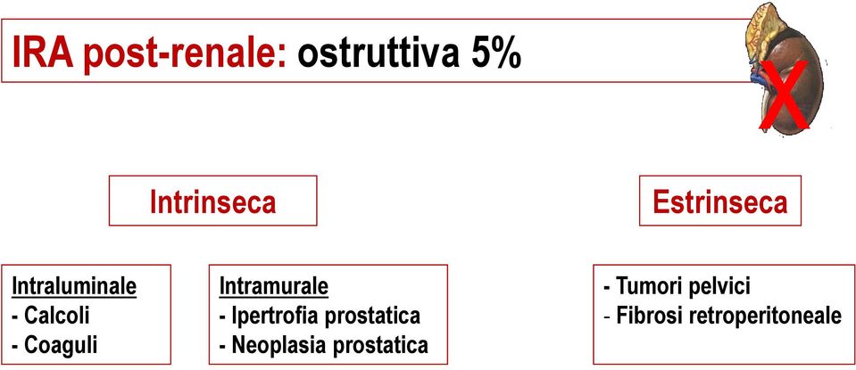 Ipertrofia prostatica - Neoplasia prostatica x