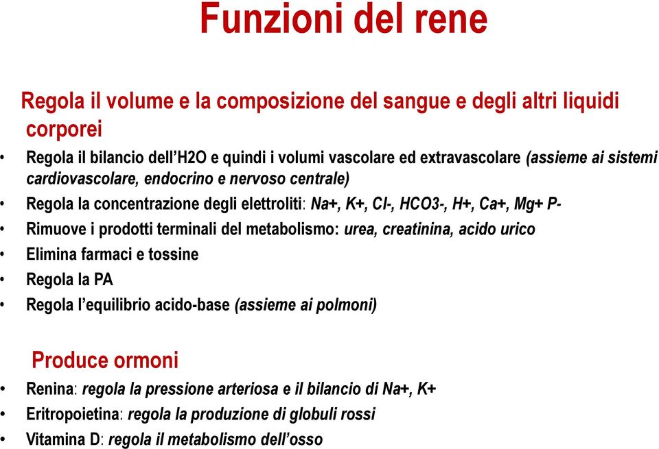 PRimuove i prodotti terminali del metabolismo: urea, creatinina, acido urico Elimina farmaci e tossine Regola la PA Regola l equilibrio acido-base (assieme ai