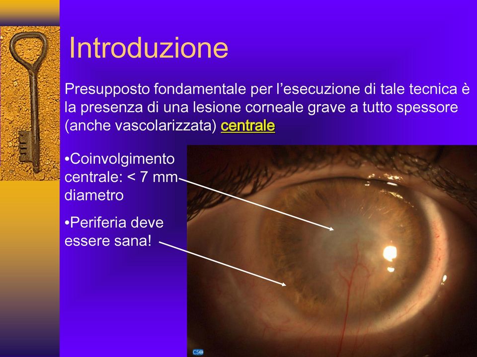 a tutto spessore (anche vascolarizzata) centrale