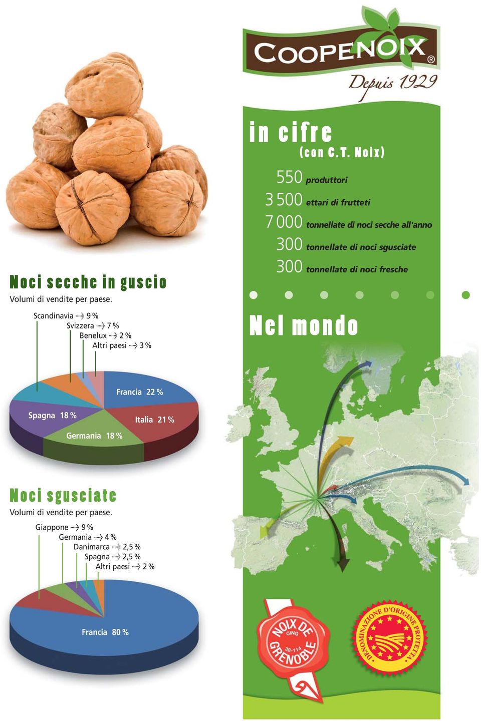 di noci secche all'anno 300 tonnellate di noci sgusciate 300 tonnellate di noci fresche Nel mondo Francia 22 % Spagna