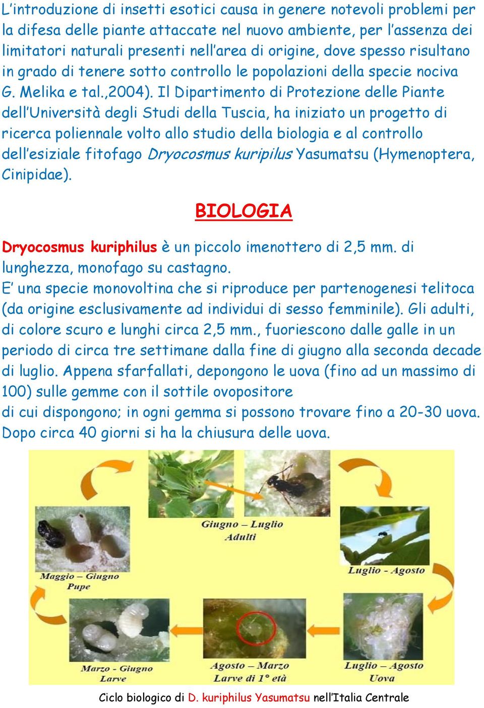 Il Dipartimento di Protezione delle Piante dell Università degli Studi della Tuscia, ha iniziato un progetto di ricerca poliennale volto allo studio della biologia e al controllo dell esiziale