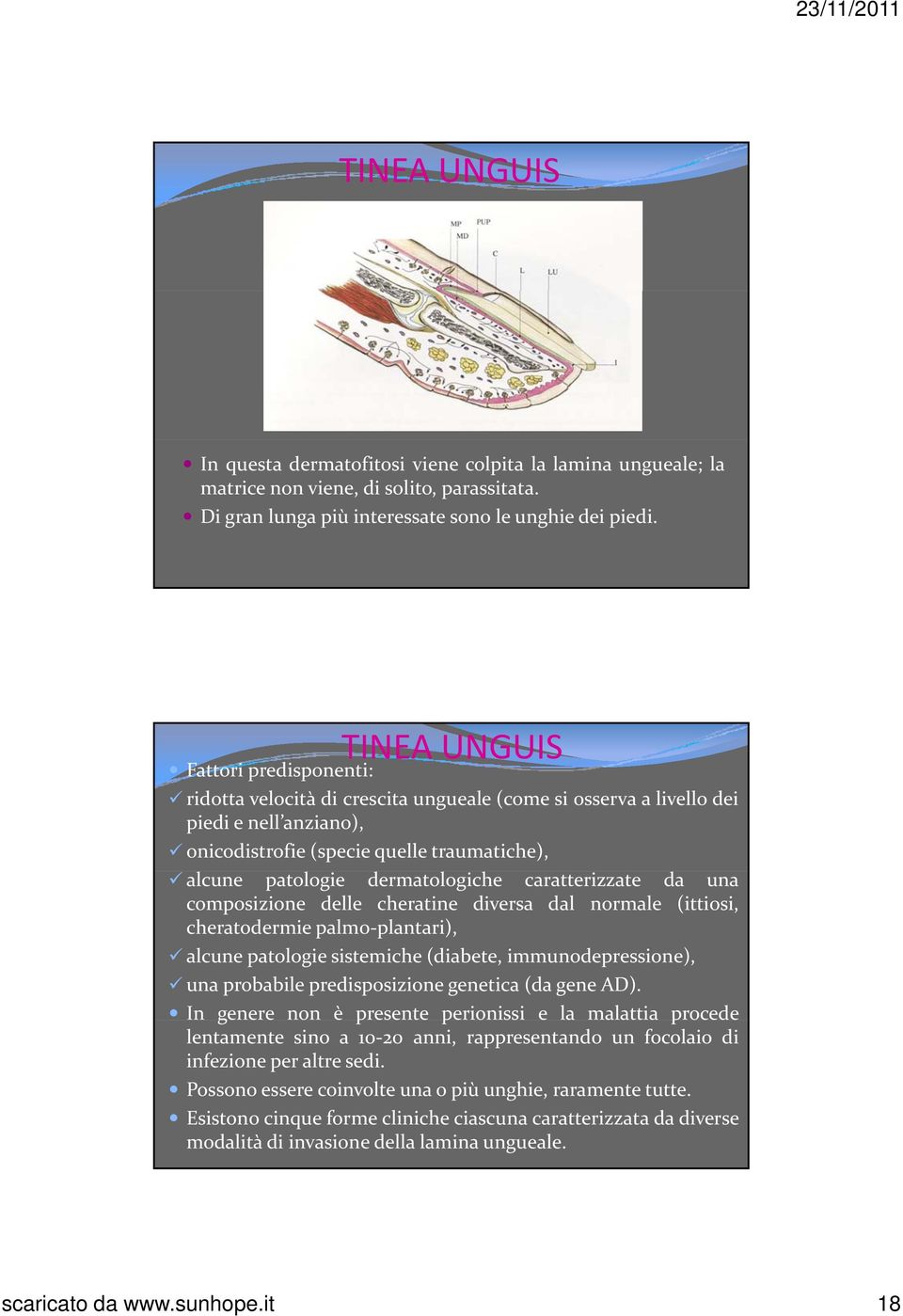 dermatologiche caratterizzate da una composizione delle cheratine diversa dal normale (ittiosi, cheratodermie palmo plantari), alcune patologie sistemiche (diabete, immunodepressione), una probabile