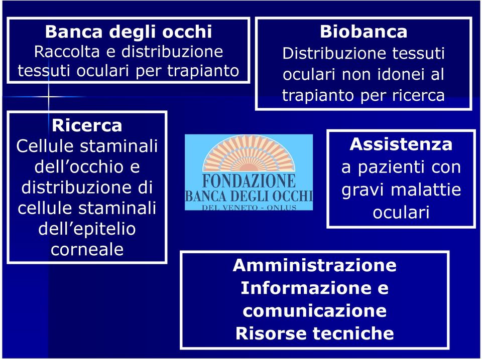 Biobanca Distribuzione tessuti oculari non idonei al trapianto per ricerca