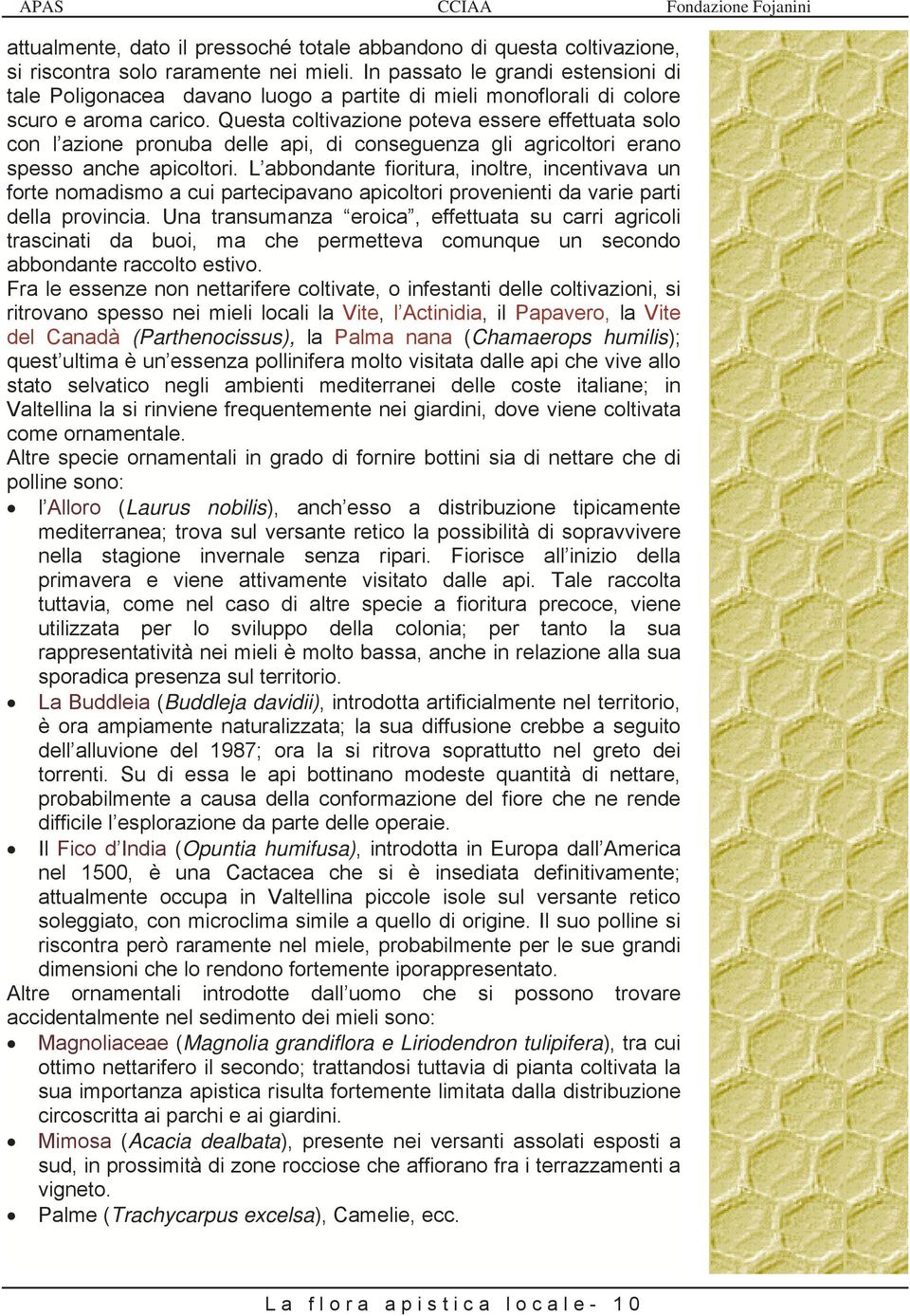 Questa coltivazione poteva essere effettuata solo con l azione pronuba delle api, di conseguenza gli agricoltori erano spesso anche apicoltori.