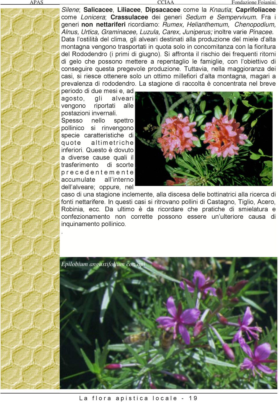 Data l ostilità del clima, gli alveari destinati alla produzione del miele d alta montagna vengono trasportati in quota solo in concomitanza con la fioritura del Rododendro (i primi di giugno).