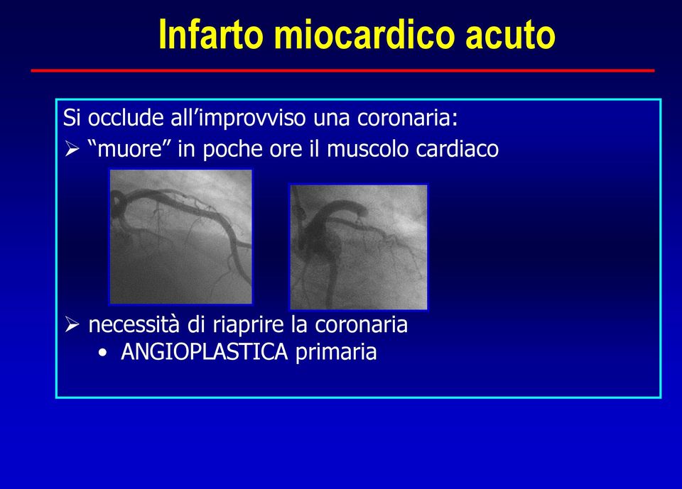 ore il muscolo cardiaco necessità di