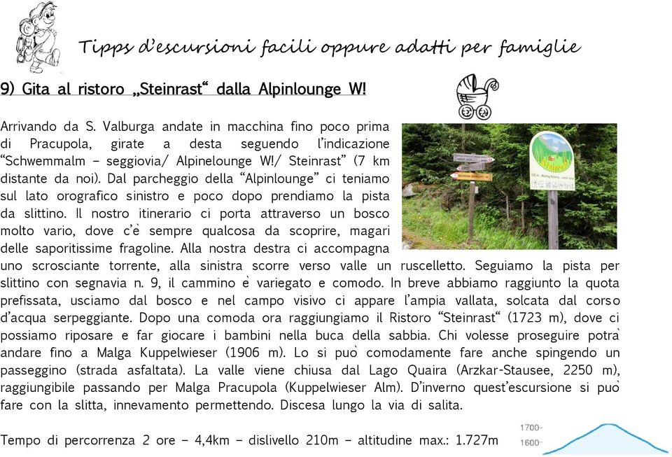 l nostro itinerario ci porta attraverso un bosco molto vario, dove c e sempre qualcosa da scoprire, magari delle saporitissime fragoline.