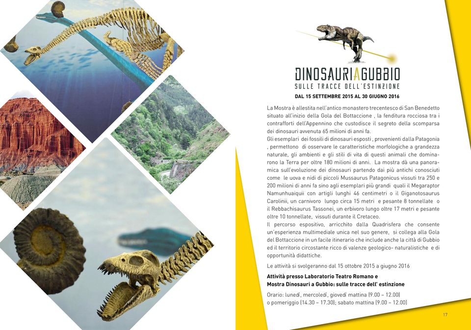 Gli esemplari dei fossili di dinosauri esposti, provenienti dalla Patagonia, permettono di osservare le caratteristiche morfologiche a grandezza naturale, gli ambienti e gli stili di vita di questi